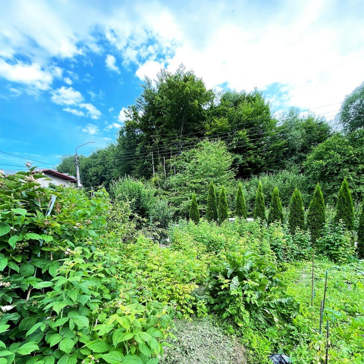 Zrodlana13 Apartamenty 马科夫帕德哈兰斯基 外观 照片
