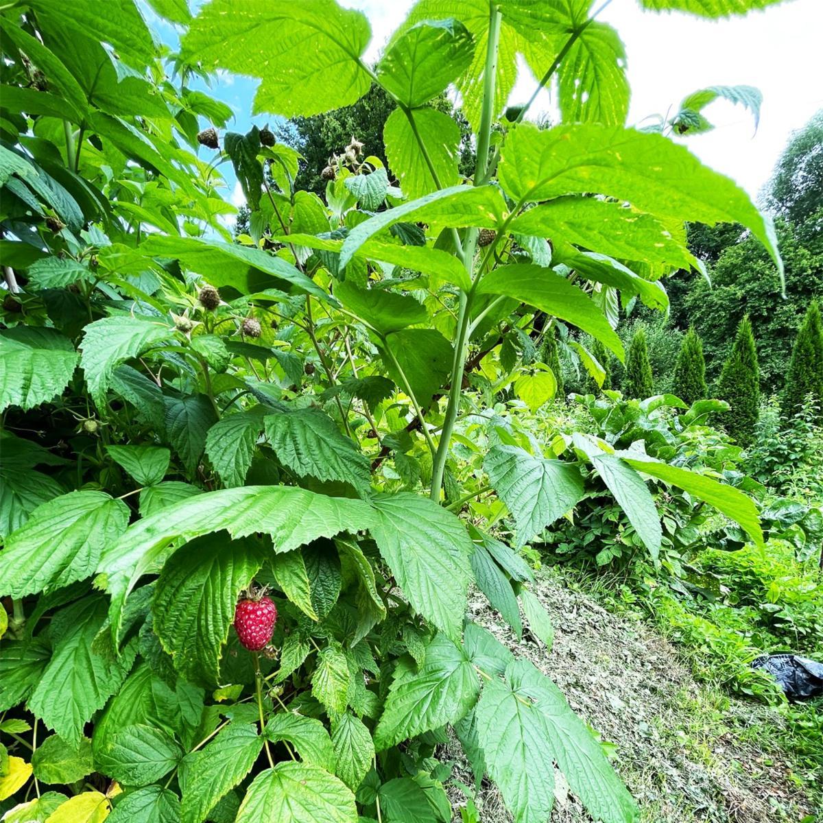 Zrodlana13 Apartamenty 马科夫帕德哈兰斯基 外观 照片